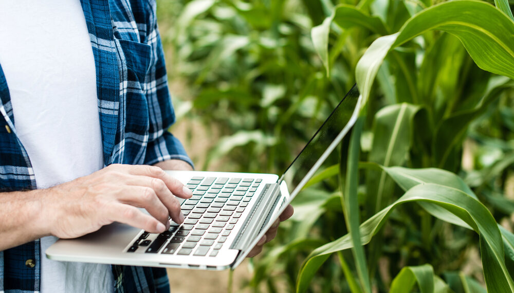 Künstliche Intelligenz in der Landwirtschaft