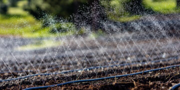 Smart Water – digitale Systeme für Wassermanagement