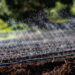 Smart Water – digitale Systeme für Wassermanagement