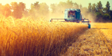 Smart Farming – Landwirtschaft im digitalen Zeitalter